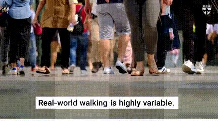 动图封面